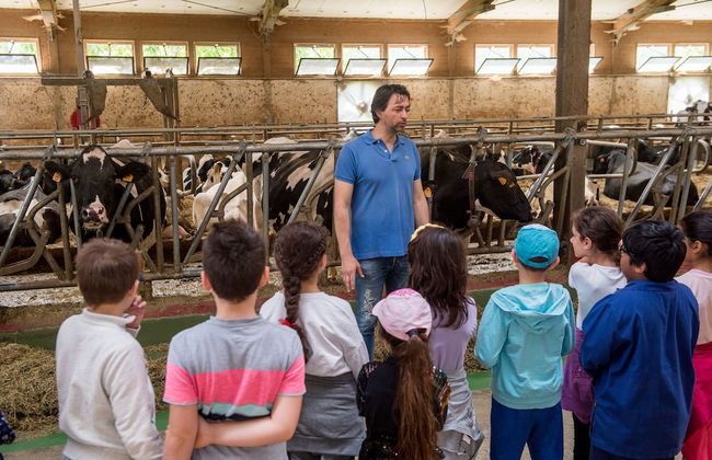 La Cartiera dei Benandanti - Foto 39