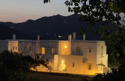 Amedi Villas Tinos - Foto 42