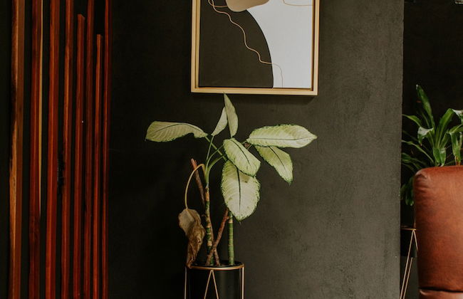 K NAJ Community Cenote residence - Photo 10