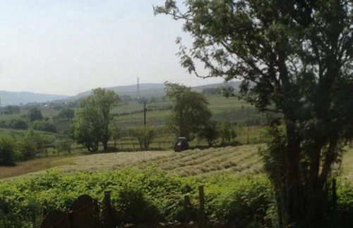 Wales' Highest Village - The Chartist Cottage - Trefil - Photo 18
