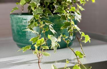 Glamour Apartments - Foto 22