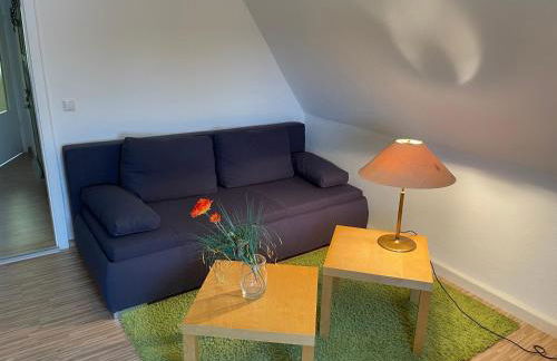 Pension Hugo - Foto 31