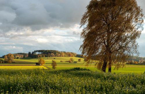 Ferienwohnung Immenberg - Foto 41