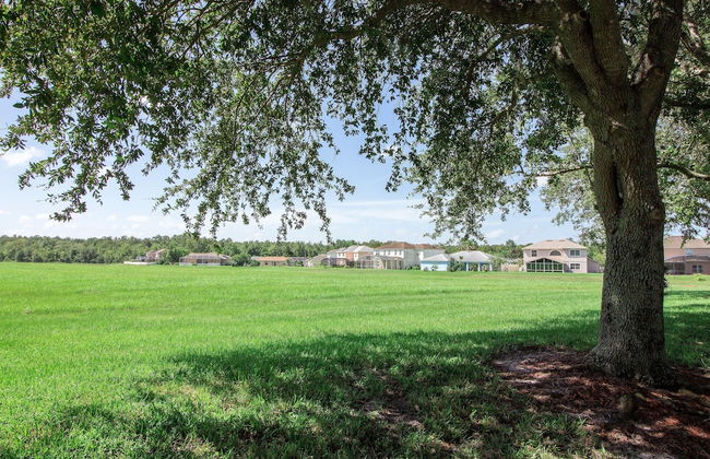 Aster Cove - Foto 51