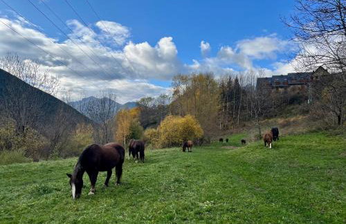 Mirador de la Neu - Foto 31