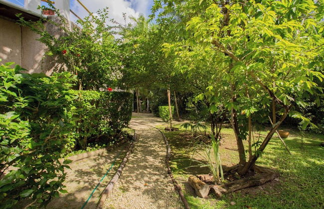 Mini Pini Birdwatching and Cenote Loft4 you Only - Photo 42