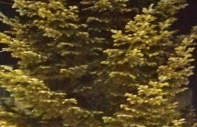 Studio ARIS, a breath away from Athens! - Foto 36