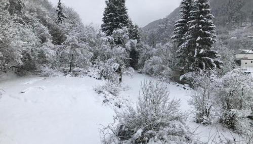 Ferienwohnung Schwitalla - Foto 2