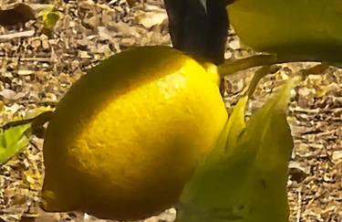 Casa Azul Oase da Natureza em Recanto - Photo 23