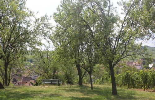 Gite des cigognes bleu - Foto 17