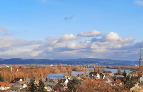 Rheinblick - Foto 20