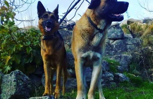 Fragas do Lobo - Casa da Azenha - Foto 35