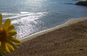 xenia garden 2 - Foto 22