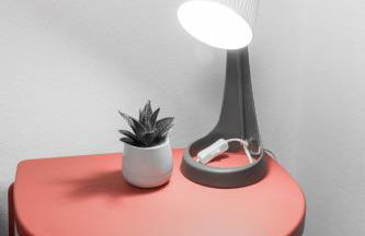 Casa Teutoburgia - Foto 14