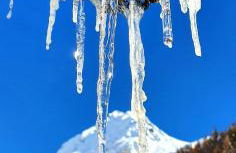 Seeberhof - Urlaub am Bauernhof - Foto 54