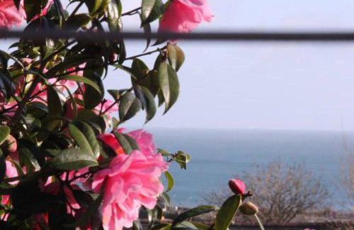 Helnoweth Lodge - Photo 38