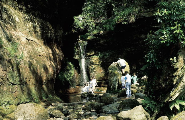 Charming Yurt in Kelburn Estate Near Largs - Foto 5