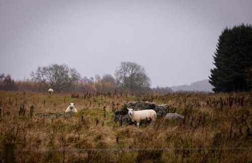 Number Five - Foto 8