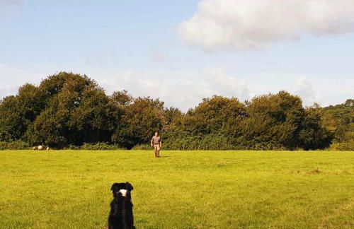 Le Refuge des Chouettes - Foto 26