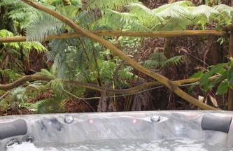 Kilauea iki- Hale Kumu La'au - Foto 15