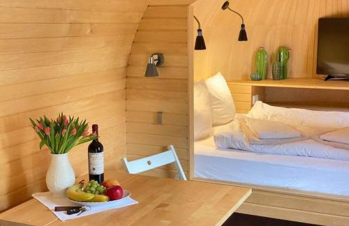 Tiny House Alpenpanorama Chalet Igluhut - Foto 28