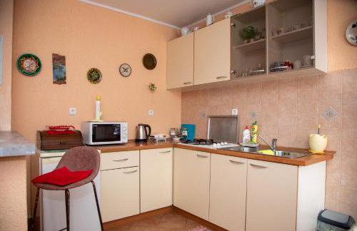 Apartman Žagar - Foto 8