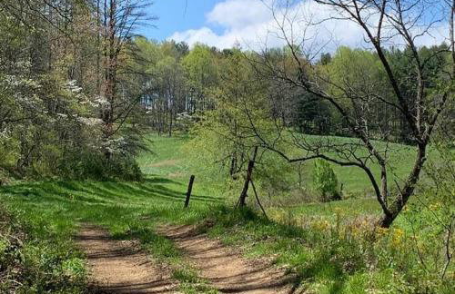 1878 Victorian Farm House near Asheville - Foto 65