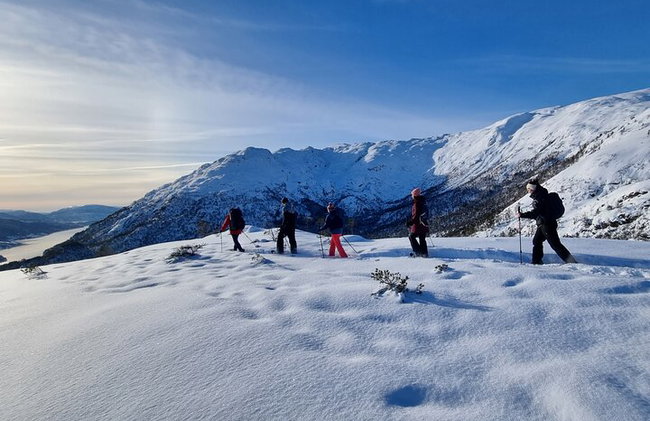 Schneeschuhwandern in Bergen - Öffentliche Tour - Foto 1