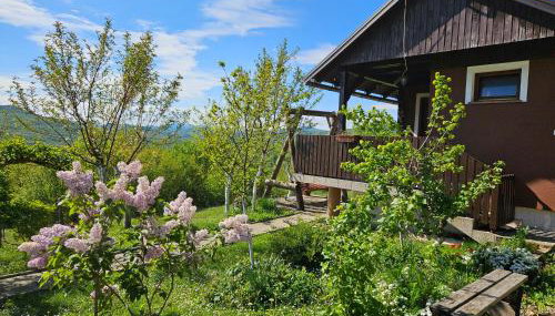 Cozy Bungalow Stipe - Foto 2, Garden