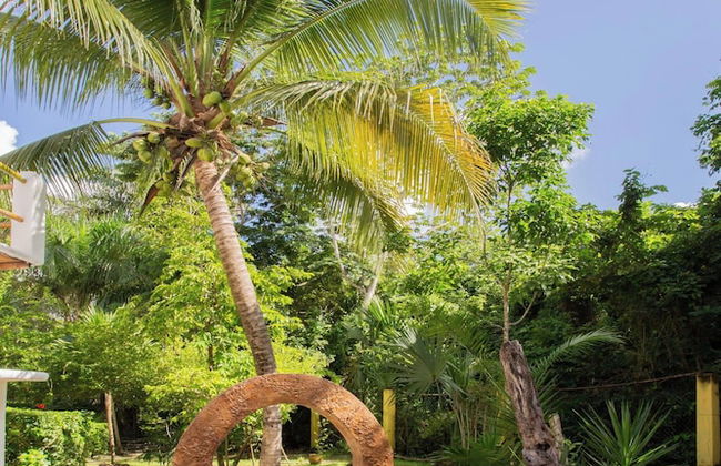 Mini Pini Birdwatching and Cenote Loft4 you Only - Foto 51