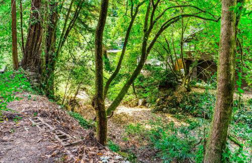 Creek House - Foto 26