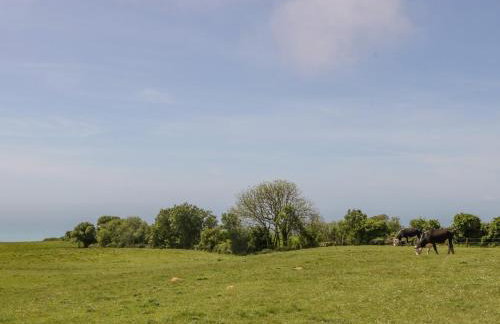 Warehams Barn - Foto 36