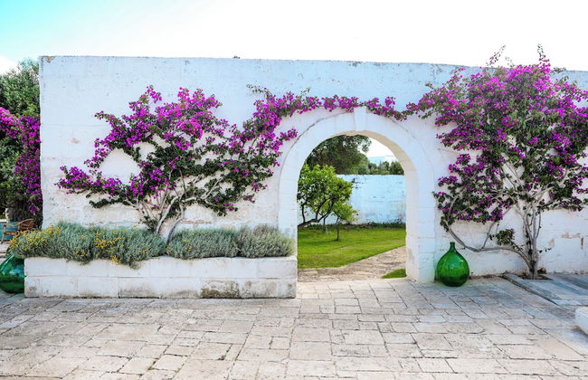 Masseria Piccole Taverne - Foto 35