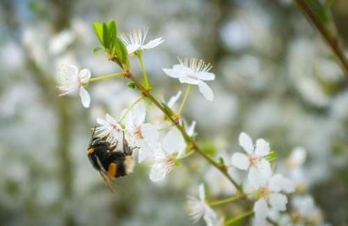 Ferienwohnung am Kunterbunthof - Foto 42