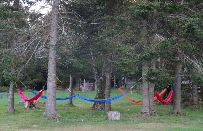 Robert Frost Mountain Cabins - Foto 59