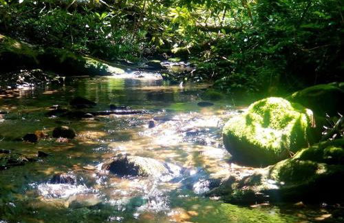 Big Bear Log cabin - Photo 18