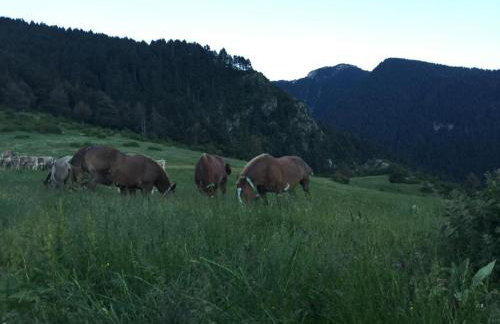 Cal Pedrals - Foto 9