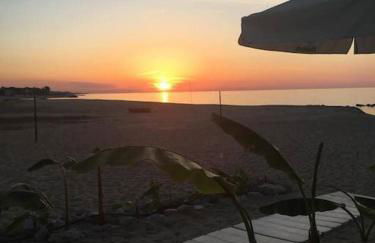 La casetta di Ulisse Minicasa per amici - Foto 73