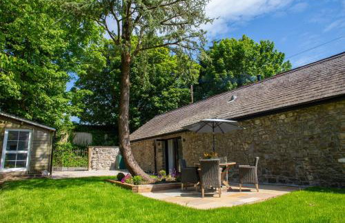 Rodney Johnston - Foto 1