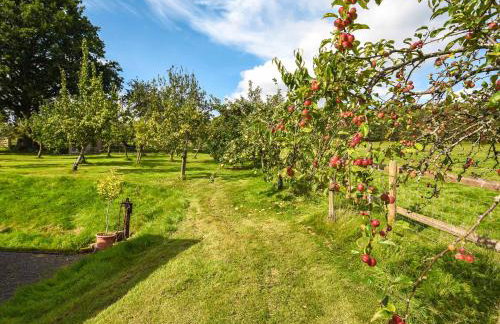 The Old Barn - Foto 17