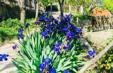 Barranco de la Salud - Photo 1