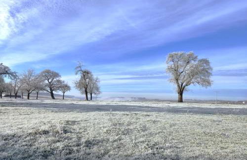 Ferienhaus Maias Muthof - Foto 37
