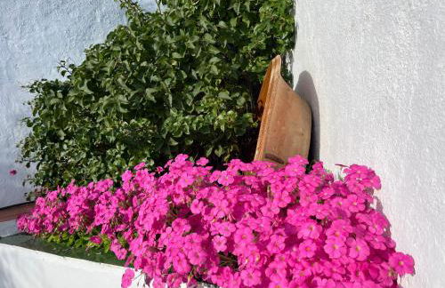 La Casa del Jardín - Foto 34