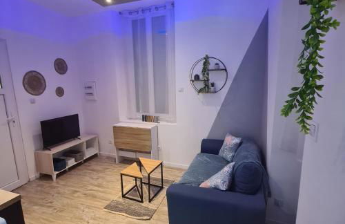 Très joli appartement 2 pièces, centre-ville - Foto 14