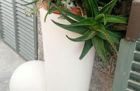 Sally's House - Photo 23