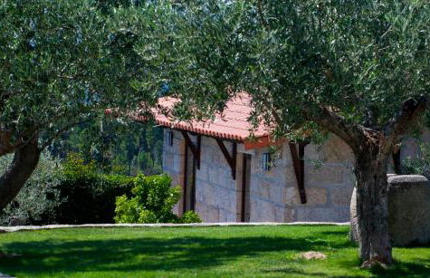 Quinta do Olival - Foto 69