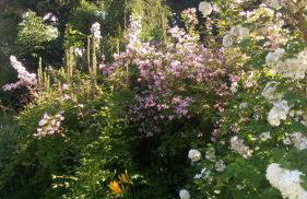 Apartamenty Zielona Góra - Foto 67