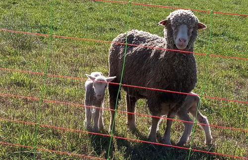le Mas de la Jardine - Foto 77