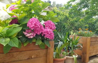 Finca Sa Cova de Mallorca - Foto 48