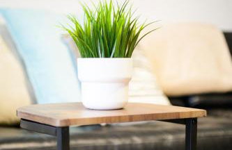 Aqua Springs, 2 BR, Sofa Bed, Sleeps 6, 1st floor apartment, near Didsbury - Foto 4